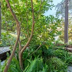 Family Flat Con Giardino, 2 Bagni, 6 Ospiti * ראפאלו