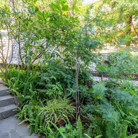 アパート Charm In *