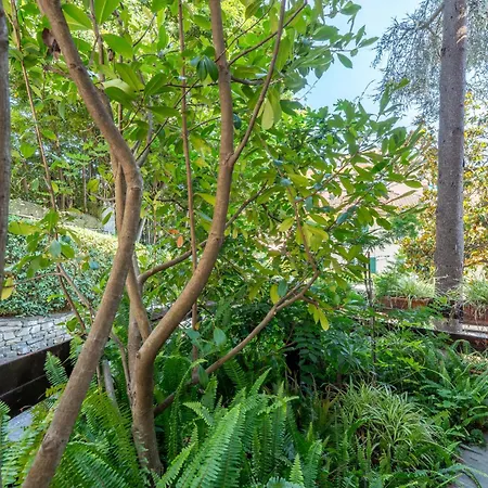 Family Flat Con Giardino, 2 Bagni, 6 Ospiti * ראפאלו